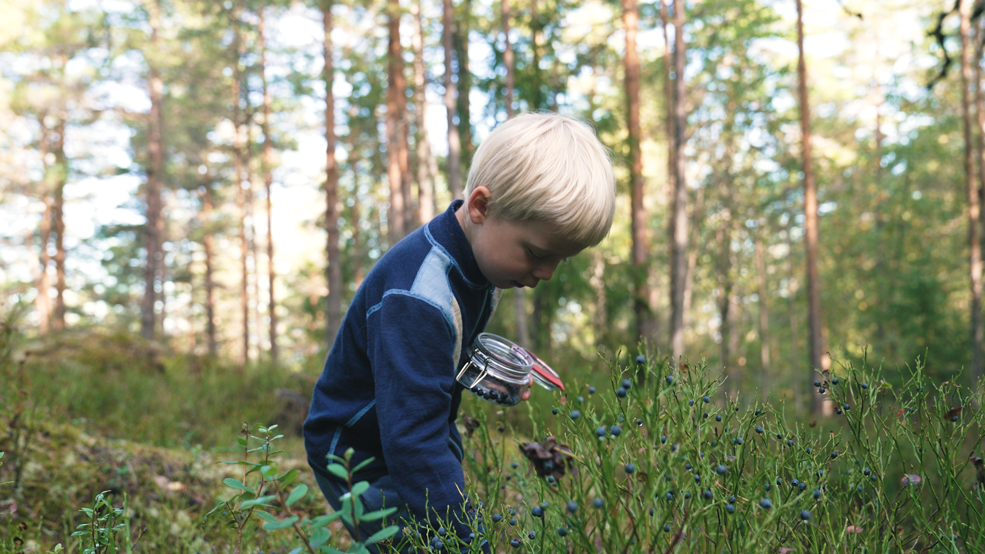 total bildeutsnitt, gutt, naturvernforbundet