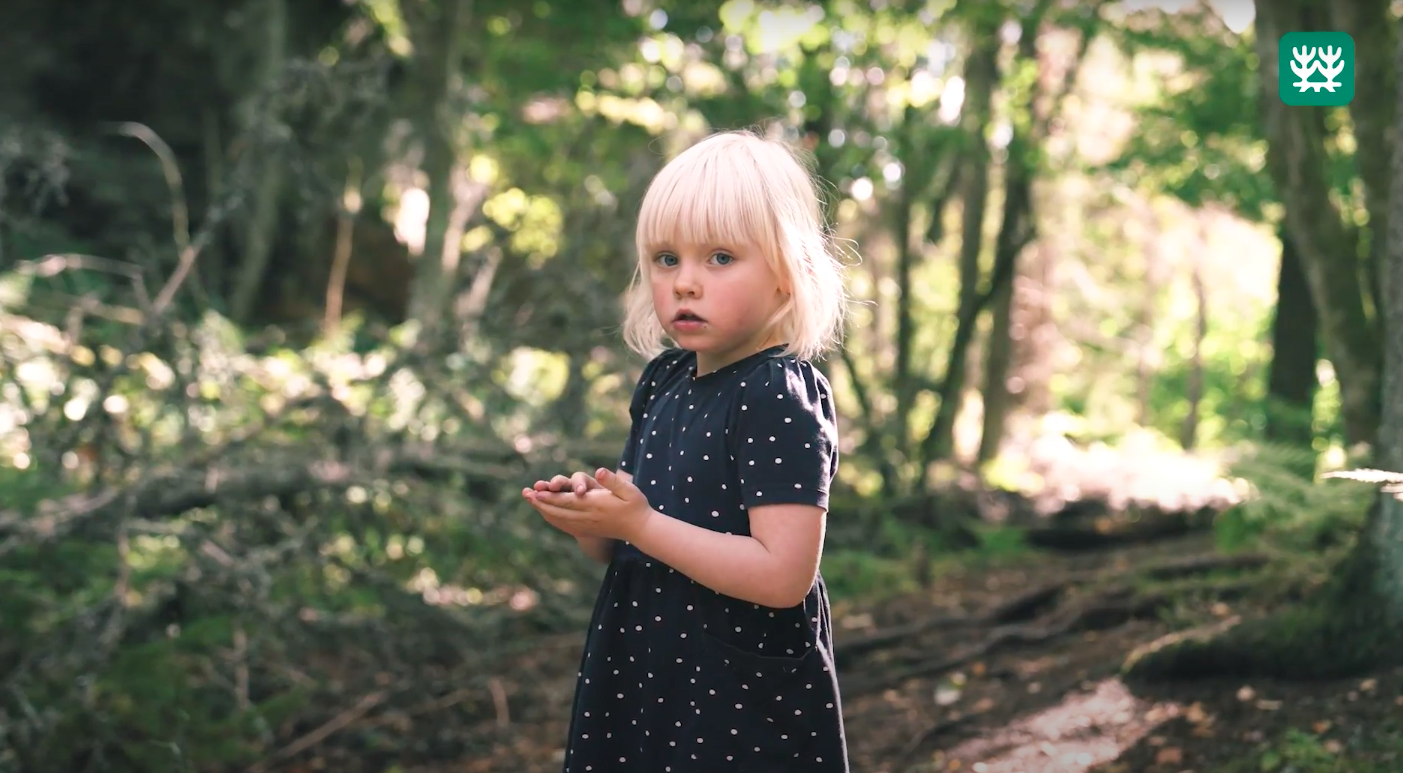 Liten lyshåret jente som står blant trær i norsk skog, naturvernforbundet